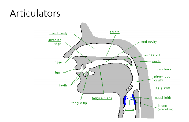 Consonants Sounds In English | StudyTution - StudyTution